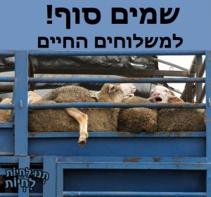 עתירה לבג"ץ נגד משלוחים חיים