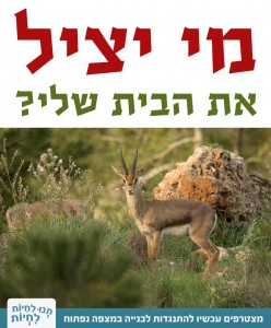 הצטרפו להתנגדות ועיזרו לנו להציל את הצבאים במצפה נפתוח מתכנית בנייה מסוכנת, שתהרוג אותם ואת בעלי-החיים האחרים במקום!