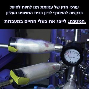 עורכי הדין של עמותת תנו לחיות לחיות הוזמנו לדיון בבית המשפט העליון שיערך ב23.5 לאחר ששלחו בקשה להצטרף כידידי בית המשפט. אנו ננסה לייצג את העמדה שמתיישבת עם חוק צער בעלי חיים (ניסויים בבעלי חיים) שקובעת שאין לבצע ניסוי שיש לו חלופות סבירות.