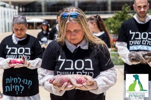 מיצג: בסבל כולם שווים
