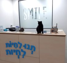 תנו לחיות לחיות אשקלון