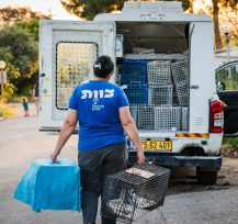 משרד ראשי - תנו לחיות לחיות