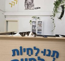 המרפאה של תנו לחיות לחיות ברמת גן