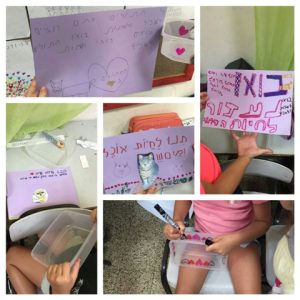 מים לחתולים בבית ספר בצהלה