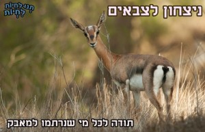 ניצחון לצבאים תנו לחיות לחיות