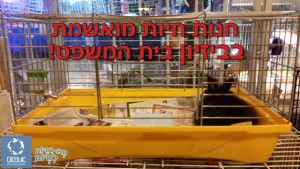 תנו לחיות לחיות נגד סחר בבעלי חיים