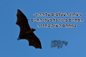 נצחון העטלפים