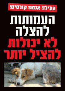 הפגנה תנו לחיות לחיות