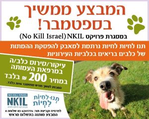 מבצע עיקורים וסירוסים לכלבים
