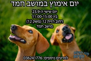 יום אימוץ במושב חמד