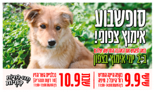 יום שישי 9.9 בקפה היינה החדש, רח' היובל 2 חיפה בין השעות 11:00-14:00 שבת 10.9 בכלביית גשר הזיו (10 דקות מנהריה) בין השעות 11:00-13:00 לפרטים נוספים: 0542327994