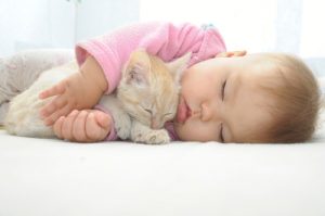 תינוקות וחתולים