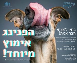 הפנינג אימוץ מיוחד