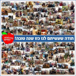 שנה טובה תנו לחיות לחיות