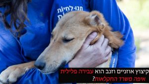 תנו לחיות לחיות בבג"ץ נגד משרד החקלאות