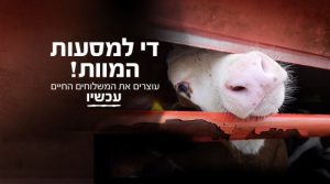 די למשלוחים החיים