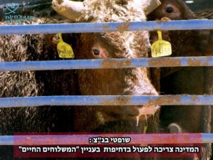 בג"צ משלוחים חיים