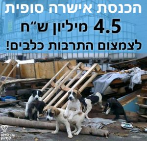 הכנסת אישרה סופית תקציב לעיקור וסרוס כלבים