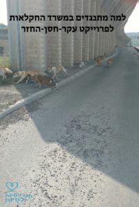 עקר חסן החזר