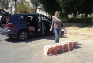 מהיום החלה עיריית נתיבות בפרויקט לעיקור וסירוס חתולים בעיר! זו הפעם הראשונה שבנתיבות משקיעים בפעילות החשובה לצמצום ההתרבות של חתולי הקהילה, לרווחת החתולים והתושבים כאחד. בפגישה שיזמנו עם ראש העיר יחיאל זוהר לרגל פתיחת המרפאה שלנו באשקלון,הביע ראש העיר את הערכתו לגבי חשיבות המבצע והסכים לשתף פעולה עמנו לצורך צמצום התרבות החתולים. החל מהיום יגיע לוכד שלנו לעיר, ילכוד חתולים שאינם מסומנים, יעביר אותם לעיקור/ סירוס וחיסון במרפאה באשקלון ולאחר התאוששות נחזיר אותם למקומם. אנו מזמינים ראשי רשויות נוספים בארץ לקחת יוזמה דומה, ולצמצם בדרך הומנית את התרבות החתולים, שמספרם רק הולך וגדל במהירות.