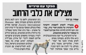 מפקד הכלבים יוצא לדרך