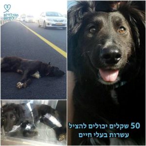 תרומה חודשית מצילה חיים