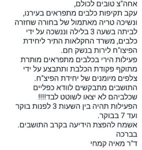 ירי בכלבים בבית שמש