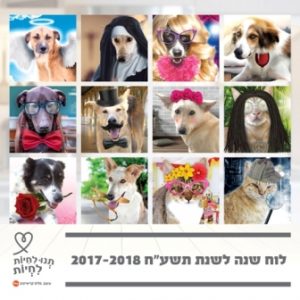 לוח שנה 2016-2017 כלבים וחתולים