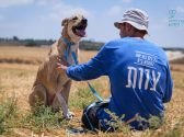 כלבה חומה לבנה, קולר תכלת לצוארה מחובר לרצועה תכלת, יושבת בשדה חרוש מול אדם לבוש בחולצה כחולה ארוכה, כובע לראשו והוא מלטף את פניה. היא מביטה למעלה.