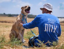 כלבה חומה לבנה, קולר תכלת לצוארה מחובר לרצועה תכלת, יושבת בשדה חרוש מול אדם לבוש בחולצה כחולה ארוכה, כובע לראשו והוא מלטף את פניה. היא מביטה למעלה.