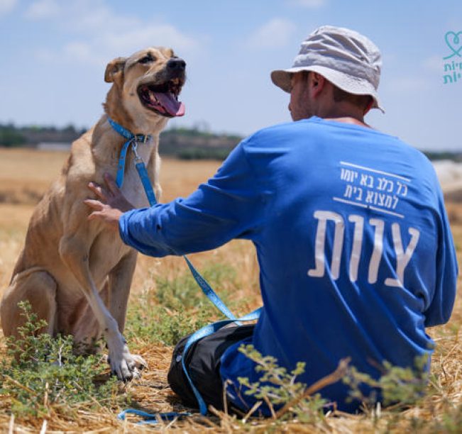כלבה חומה לבנה, קולר תכלת לצוארה מחובר לרצועה תכלת, יושבת בשדה חרוש מול אדם לבוש בחולצה כחולה ארוכה, כובע לראשו והוא מלטף את פניה. היא מביטה למעלה.