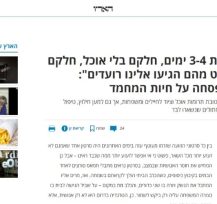 כתבה על העורף הישראלי שהתגייס לטובת תרומות אוכל וציוד לחיילים ומשפחות, אך גם למען חילוץ, טיפול ומציאת בית חם לכלבים וחתולים שנשארו לבד