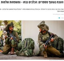 כתבה על הכלבים שנבחו והצילו משפחות שלמות