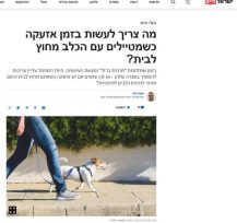 כתבה על הפעולות שצריך לעשות כאשר יש אזעקה ומטיילים עם הכלב מחוץ לבית