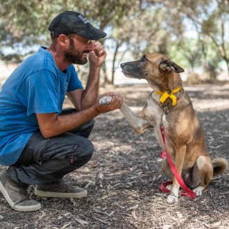 כלבה חומה לבנה בגודל בינוני, עם קולר אדום וקולר צהוב בצורת סמל המאבק להחזרת החטופים, יושבת בחורשה ומולה יושב איש. האיש לבוש מכנסי דגמ"ח כחולות, חולצה כחולה קצרה, כובע מצחייה שחור ונעלי סניקרס, מושיט ידו אל הכלבה והיא מגישה ידה אליו בחזרה.