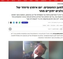 כתבה על יום אימוץ מיוחד של כלבים למען החזרת החטופים