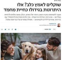 משפחה של אמא, אבא, בת וכלב עם פרווה בצבע בז' שפותח את פיו ומביט קדימה