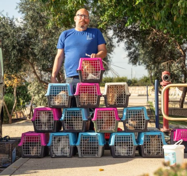 עובד בעמותה נמצא מאחוריו חתולים רבים כאשר כל חתול נמצא בכלוב משלו