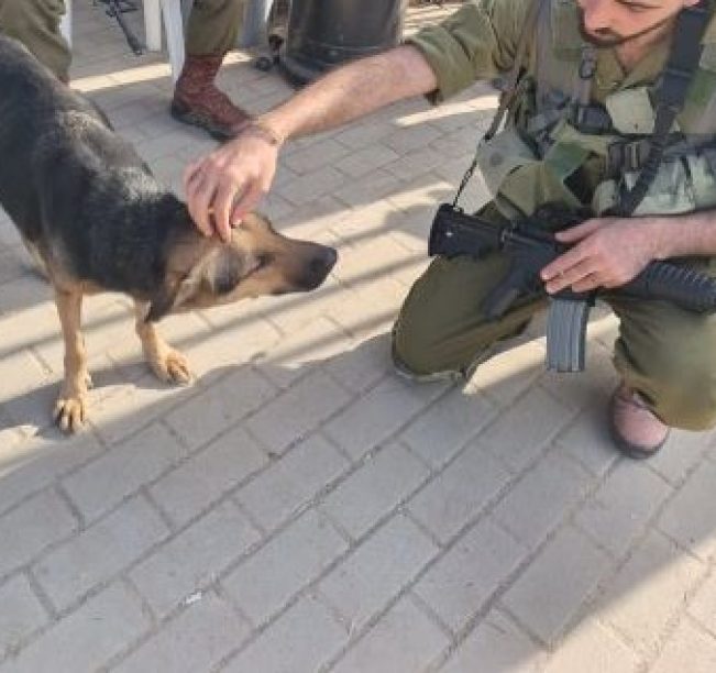 חייל כורע ומלטף כלב עם פרווה בצבע שחור חום ומסביבו נמצאים עוד חיילים בעוד שהכלב עוצם את עיניו