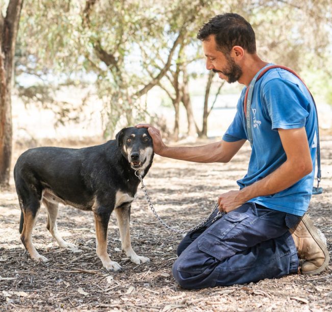 כלבה חומה שחורה בגודל בינוני, עומדת בחורשה ומפנה ראשה שמאלה. מולה יושב על ברכיו, בחור מזוקן, לובש מכנסי דגמ"ח כחולים וחולצה כחולה קצרה. הוא מביט על הכלבה מחייך אליה ומלטף את ראשה.