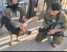 חייל מלטף כלב עם פרווה בצבע שחור חום ומסביבו נמצאים עוד חיילים בעוד שהכלב עוצם את עיניו