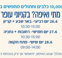לאור ההצלחה, שבוע האימוץ חוזר בפעם השלישית