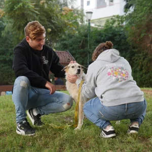 קפוצ'ון animal lovers