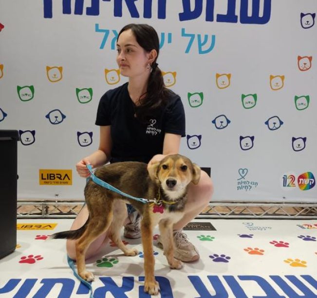 גורת כלבים עם פרווה בגווני חום, עומדת בקניון במהלך יום אימוץ מאחוריה יושבת בחורה עם חולצה שחורה קצרה ושיער אסוף, מחזיקה את הגורה ברצועה בצבע תכלת. הגורה מביטה קדימה.