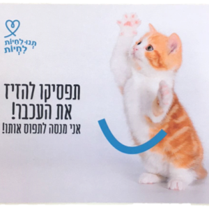 פד לעכבר - אל תזיזו לי את העכבר אני מנסה לתפוס אותו