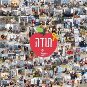 קולאז' תמונות של אנשים שאימצו כלבים וחתולים