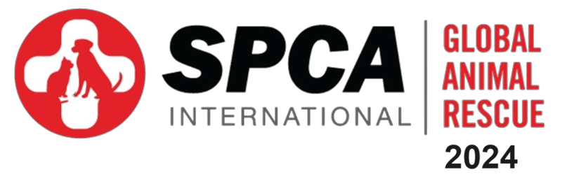 לוגו SPCA - שותפים לדרך של עמותת תנו לחיות לחיות