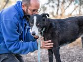 אדם עם משקפיים וזקן, מקריח, לבוש בסווצ'רט כחול יושב מול כלבה שחורה לבנה, שעומדת. הוא מנשק את ראשה ומלטף אותה. הם נמצאים בחורשה.