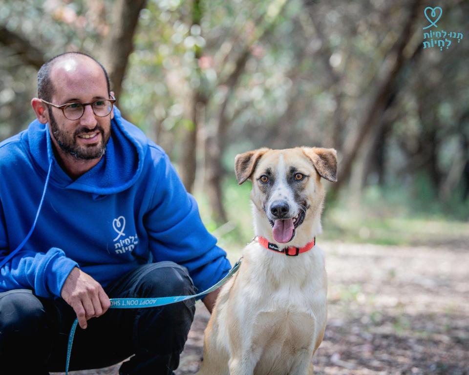 צור - כלבים לאימוץ