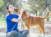 בחורה ששיערה אסוף בקוקו, לובשת חולצה כחולה קצרה ומכנסי ג'ינס, יושבת ישיבה מזרחית, בחורשה מחבקת את ראשו של כלב שעומד מולה. הכלב, חום לבן בגודל בינוני, עומד מולה ומקרב את פניו לפניה. הבחורה מטה ראשה למעלה.